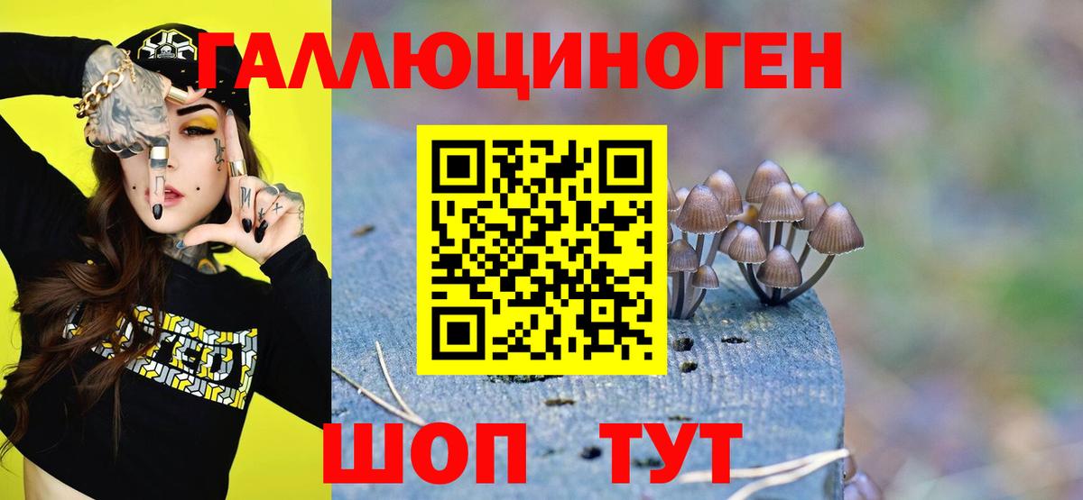 Галлюциногенные грибы ЛСД Тимашёвск