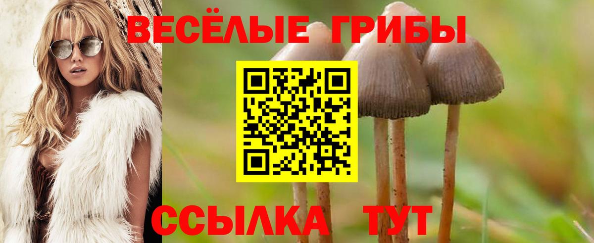 Галлюциногенные грибы Cubensis  Вход с VPN  Тимашёвск 